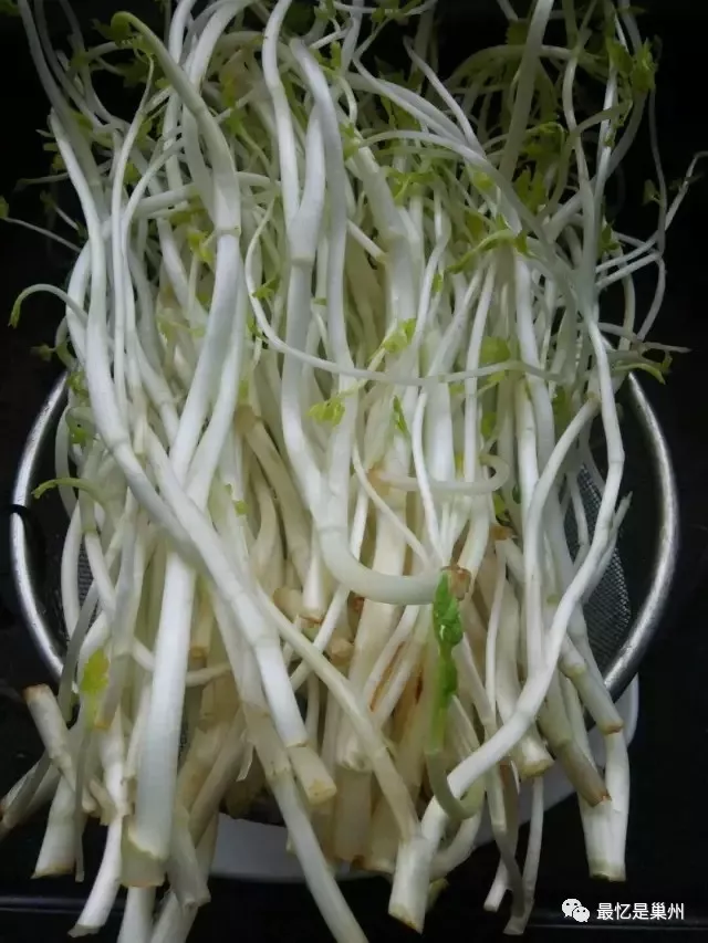 芹芽,芹芽菜圖片
