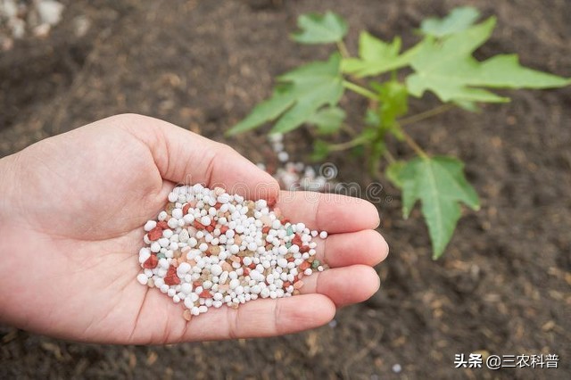 重磅消息来袭，“倔强”的尿素价格下跌了！现在多少钱一吨了？