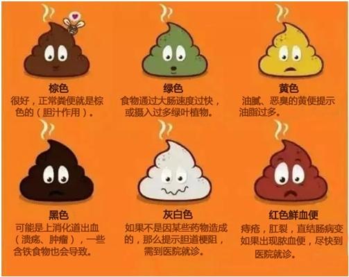 正常的大便为什么是黄色的？黑色，红色，绿色的大便是什么疾病？