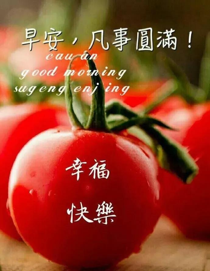 美女表情包：真正的绝望，是内心的迷茫