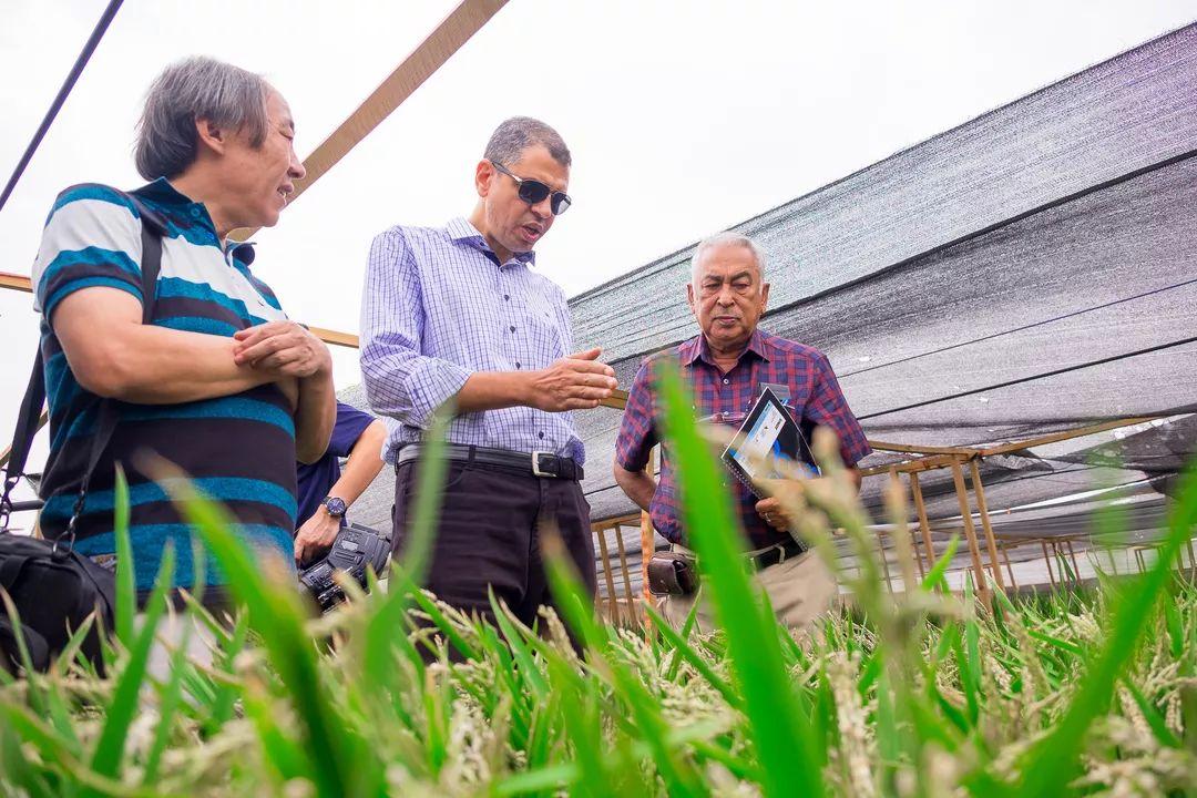2021高考作文素材：袁隆平留给“后世青年”的五笔巨大精神财富