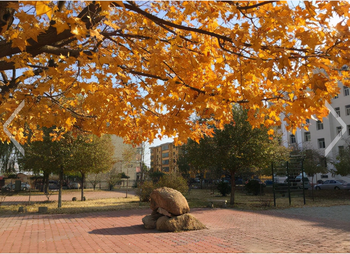 河北科技师范学院官网（果树蔬菜省级重点）