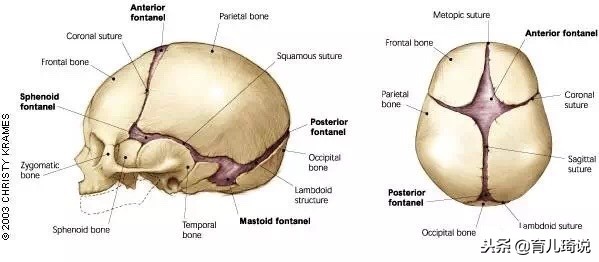 宝宝囟门不能吹风？囟门闭合太早或太晚都是病？快来看科学分析吧