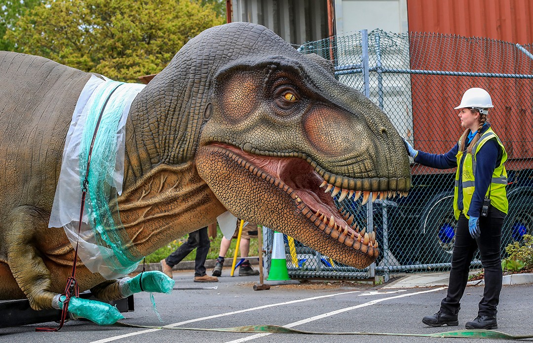 重返（描写恐龙外貌的句子）