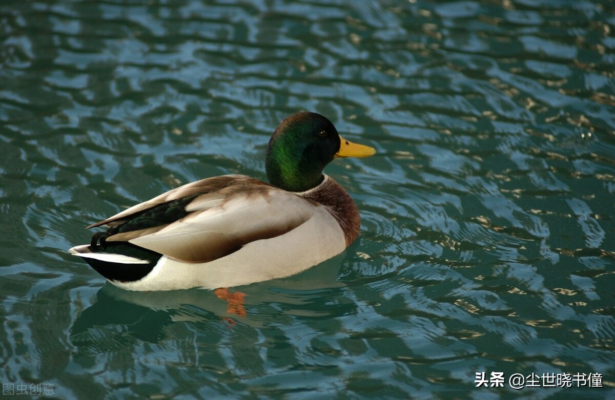 戴复古的诗清新自然，这首经典的七绝，犹如一幅淡淡的山水画卷