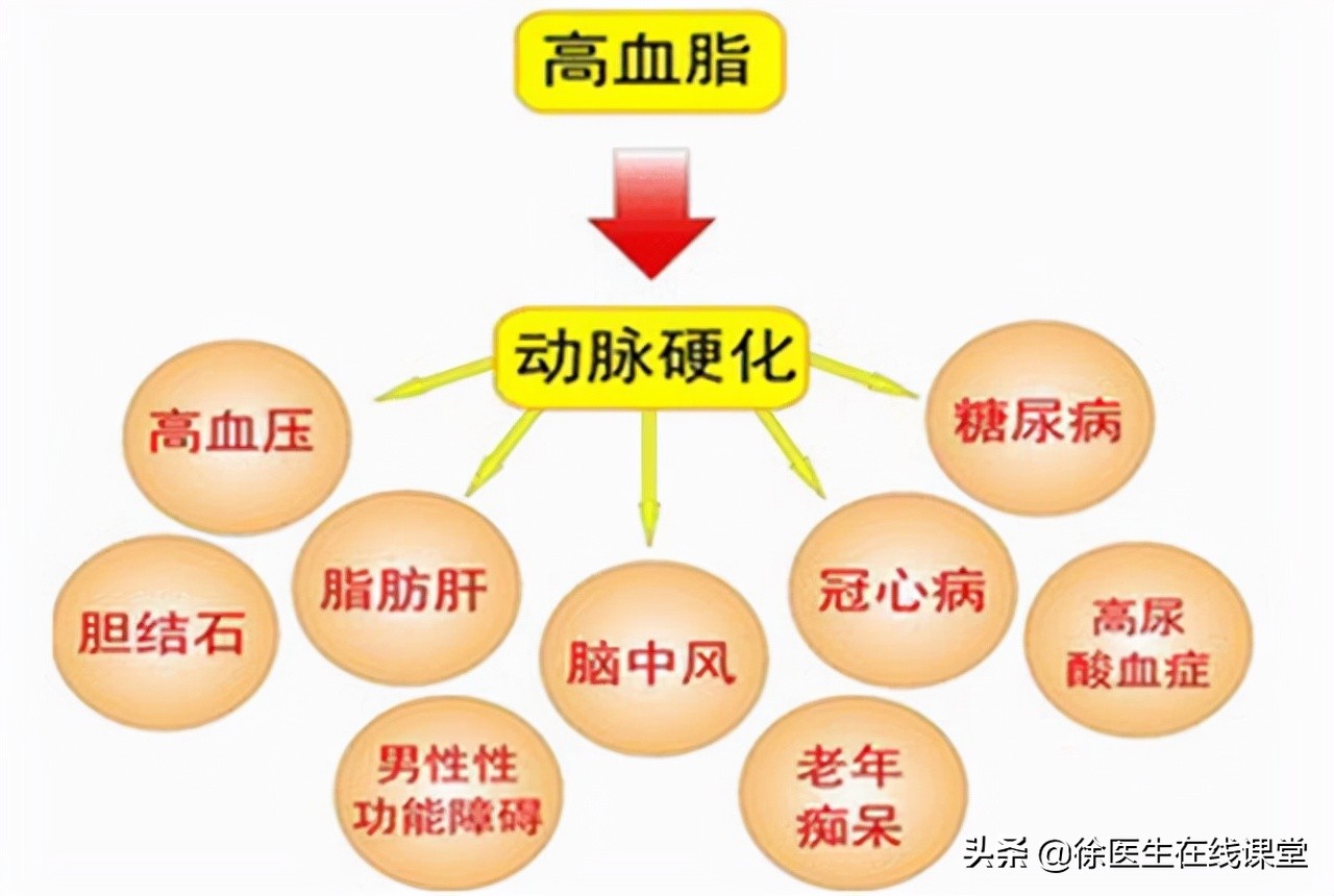 总胆固醇高怎么办(血脂高怎么办) - seo葵花宝典