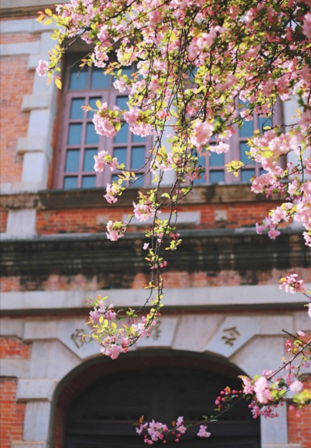 120个描写春天的好句段，让作文增光添彩的宝藏