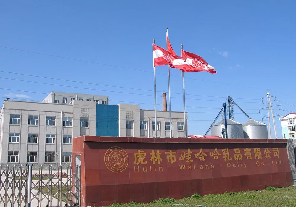 你不知道的娃哈哈资本历史：达娃之争