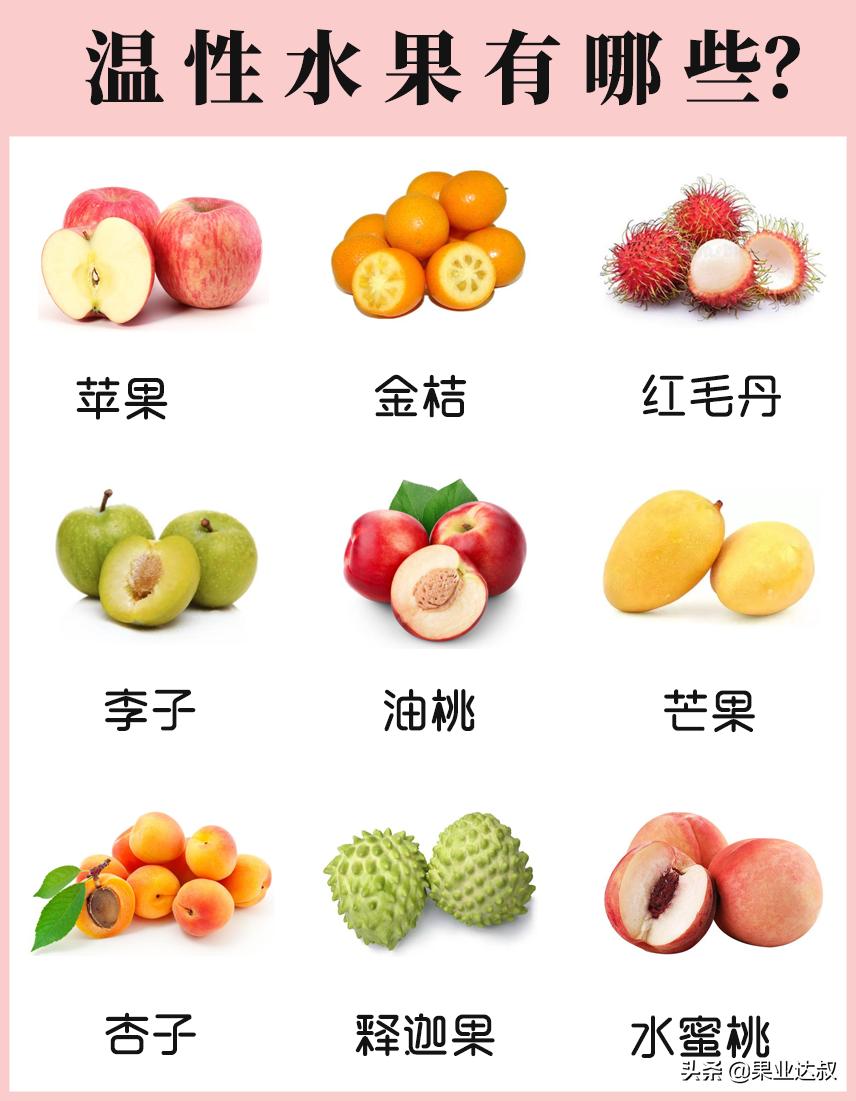 水果品种 名字图片