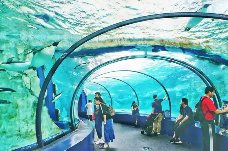 长隆欢乐世界旅游攻略景点必去（三天三夜欢乐长隆之旅）