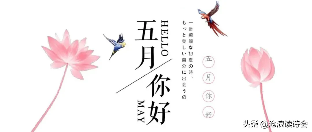 五月，你好！51首好诗送给流年，愿你风雨珍重，不负青春