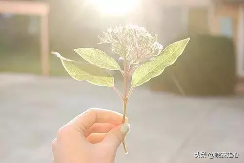 承诺再多，做不到也会变成谎言