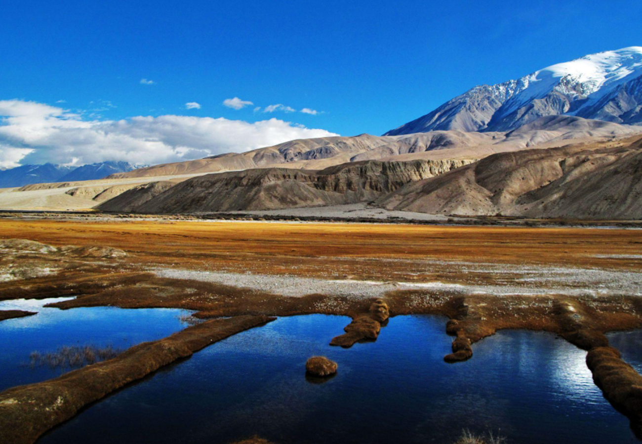 在我国新疆，原来拥有三所211大学，分数线还不高，值得关注
