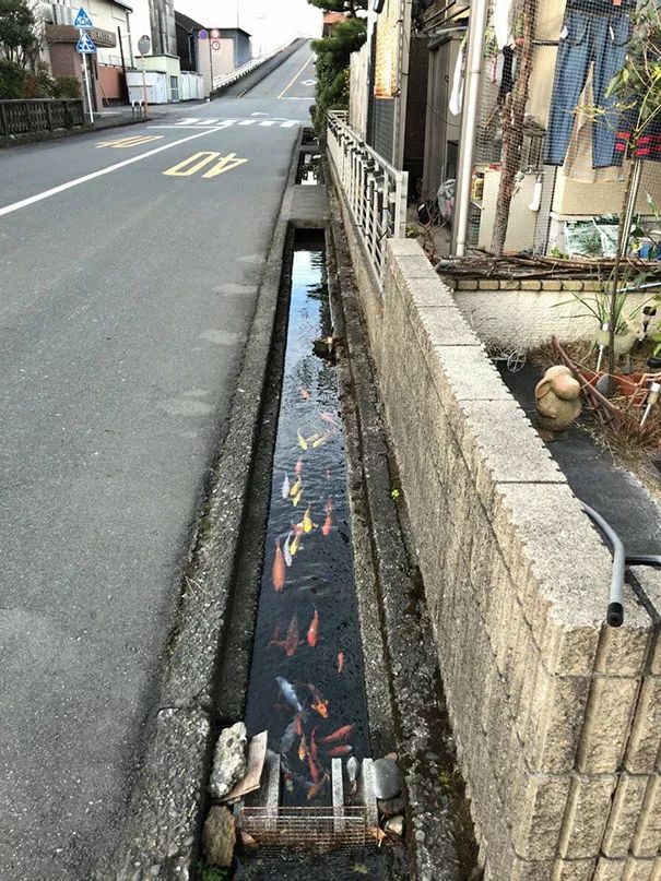 日本机场一个视频爆红！细致到“变态”的日本人，凭啥获13万点赞