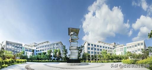 这9所“独立医学院校”性价比高，报考难度小，师资力量强