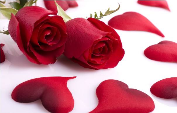 三朵玫瑰花的花语是什么意思（不同的颜色的玫瑰的含义）