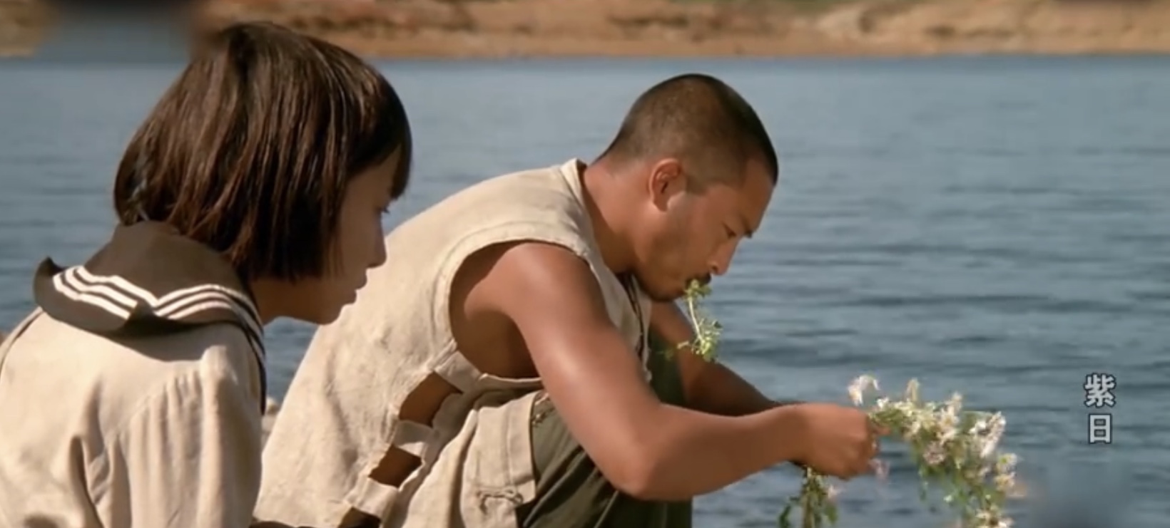 紫日电影剧情「简介」 _晶羽科技