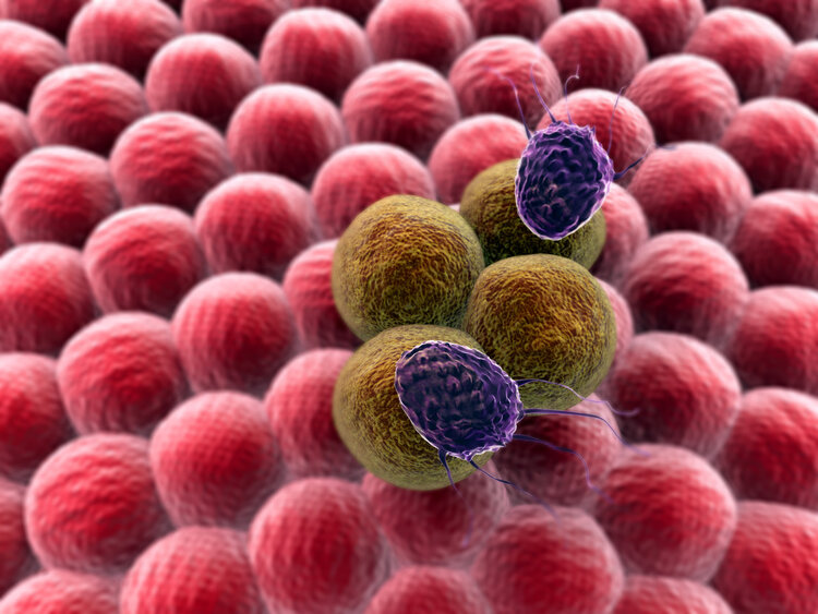 59岁患癌，医生成功抗癌二十多年，她的3个秘诀，人人可学