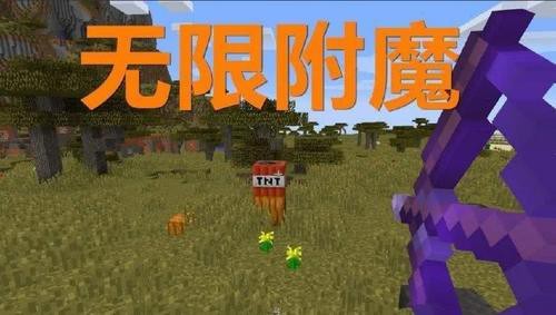 我的世界最强大的附魔效果盘点 时运免去你探矿的烦扰