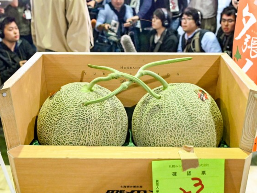 世界上极度“昂贵”的6种食物，看完后明白：贫穷限制了我的想象