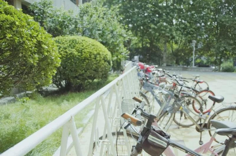 智慧教室、临靠景点，空调暖气一应俱全！山东财经大学等你来