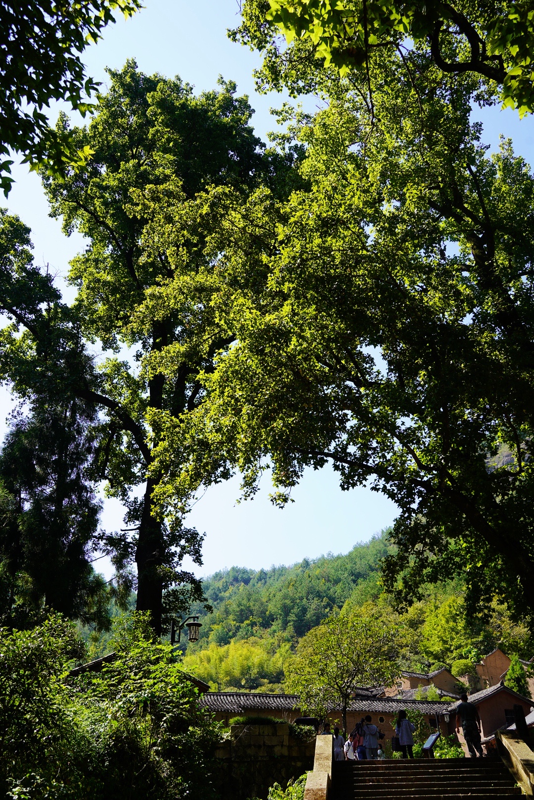 江浙沪包邮区推荐一处仙境，仅需2晚3天，国庆长假余额足还来得及
