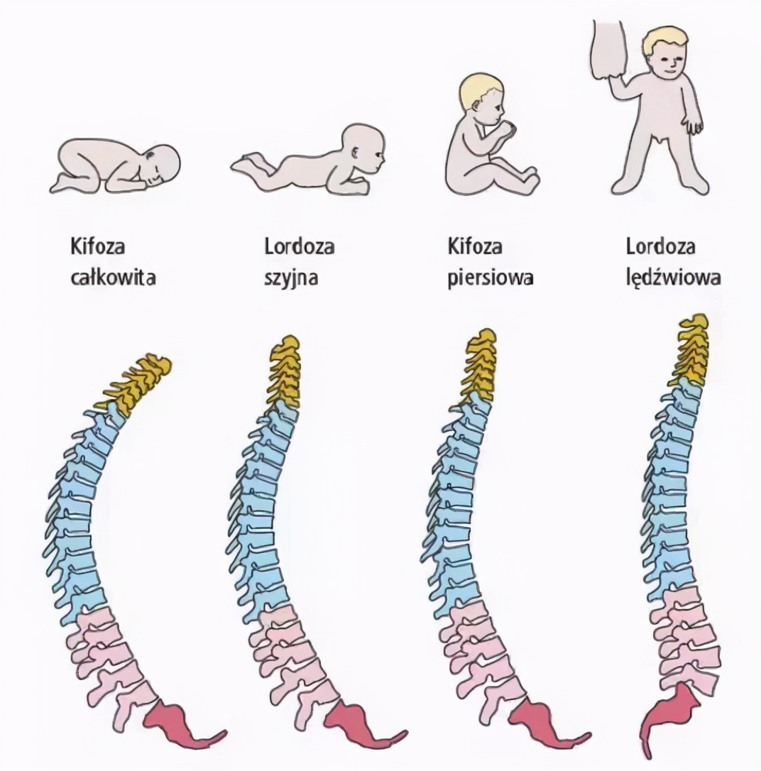 宝宝的扁头是天生的，还是睡出来的？准妈妈们要做到心里有数