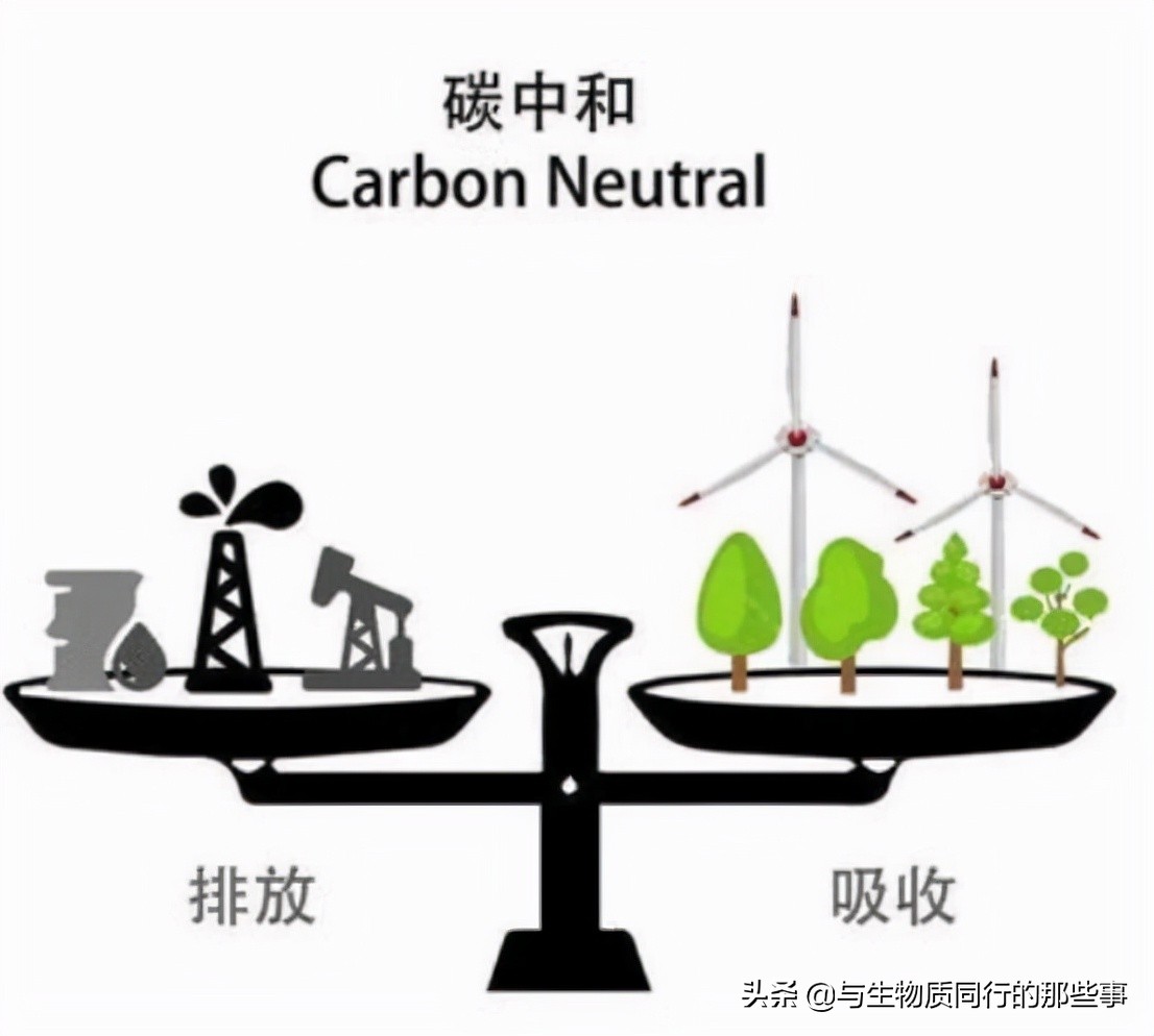 2021年生物质颗粒价格走势如何？3个方面分析告诉我们答案
