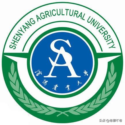 第38讲   辽宁省一本大学详解（还有这7所呢）