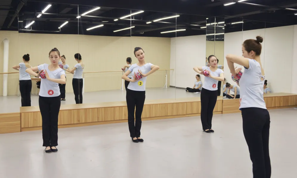 北京地区4-6级海内外高级教师培训精彩呈现