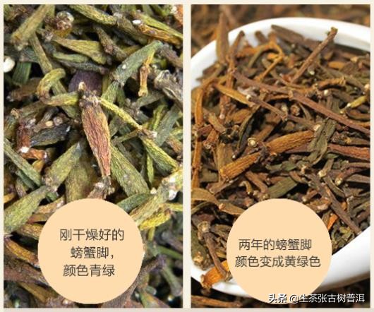 螃蟹脚茶是什么（螃蟹脚茶的正确冲泡教程）