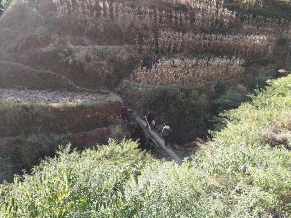 跨越2000公里，架起4座桥梁，北京交通大学这样做的原因很暖心！