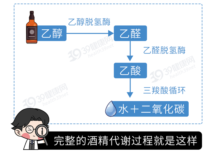 一喝酒就脸红和脸白的人，谁的酒量更大？酒量能练出来吗？