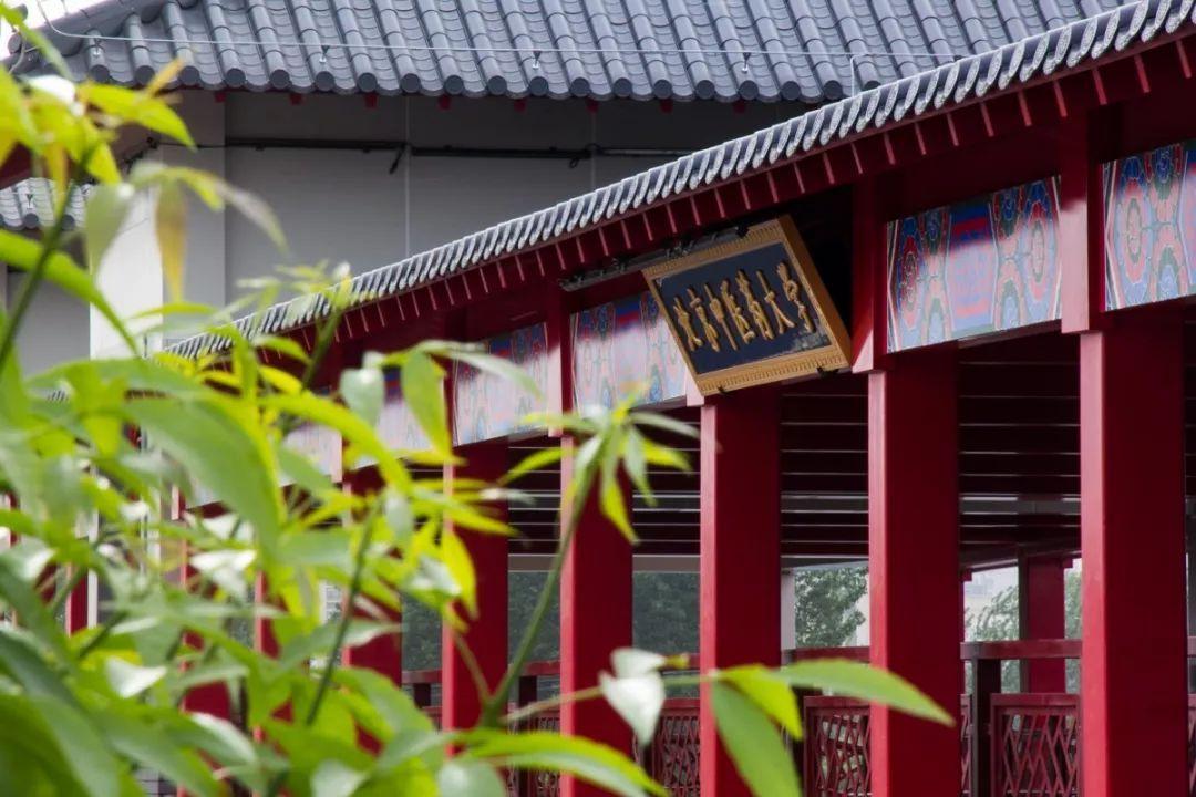 2021年中国大学排行榜出炉，医药类十强排名，认可软科还是校友会