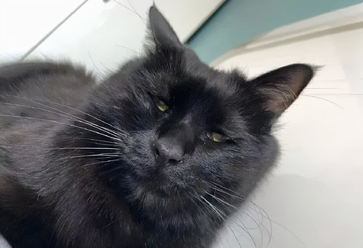 “学校开了门课叫制服诱惑！结果”网友：精准捕获最需要的学生