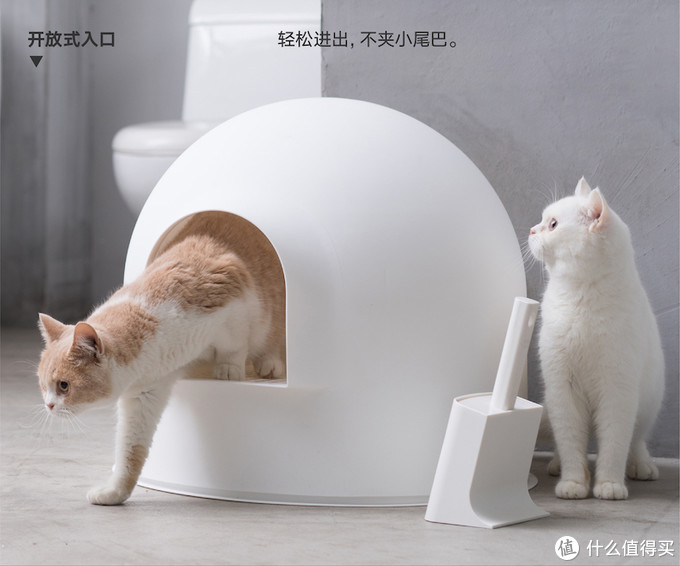 新手养猫指南——养猫一年我花了多少钱？看完我震惊了