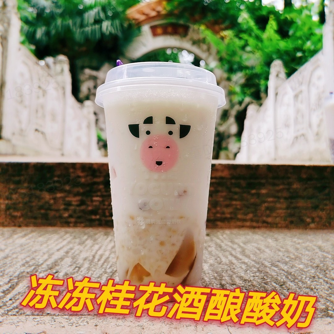 喜茶、乐乐茶、奈雪的茶…好喝但是太贵了！试试这些奶茶店