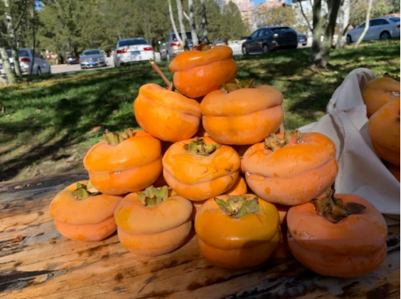 优秀！北京这所高校：走出外交部发言人、联合国发言人，直属教育部！