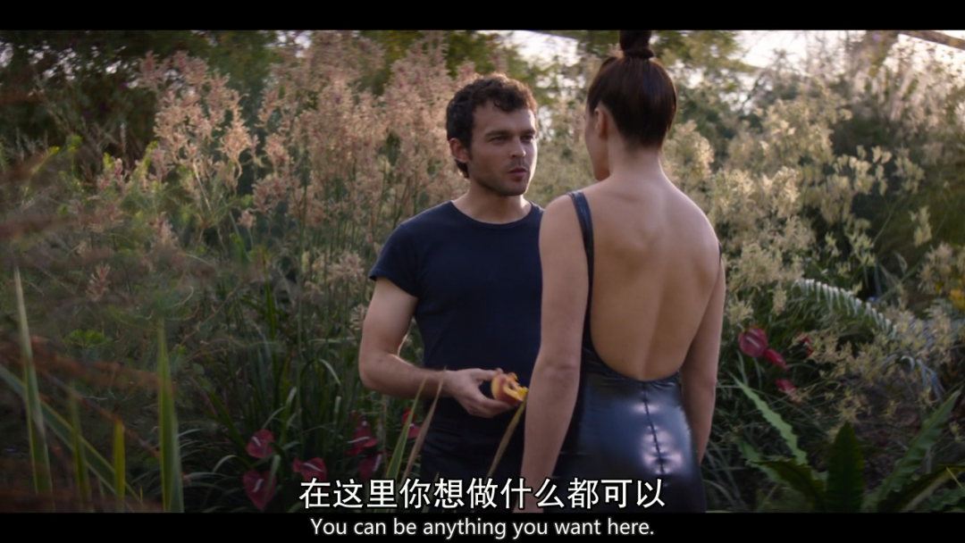 “美丽的新世界”，今年最大规模的美国电视剧