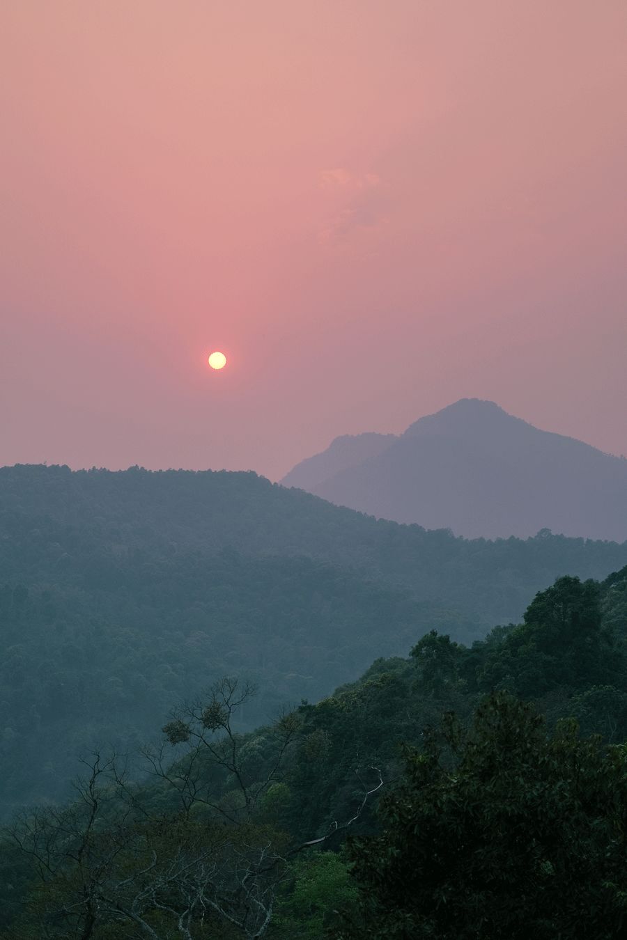 中国人的名字，藏着时代最特别的印记