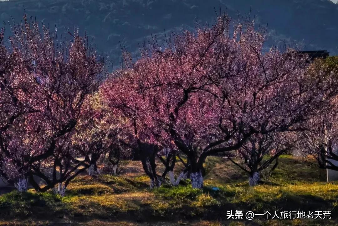 江南这么美,所以这个三月,春风十里不如下江南