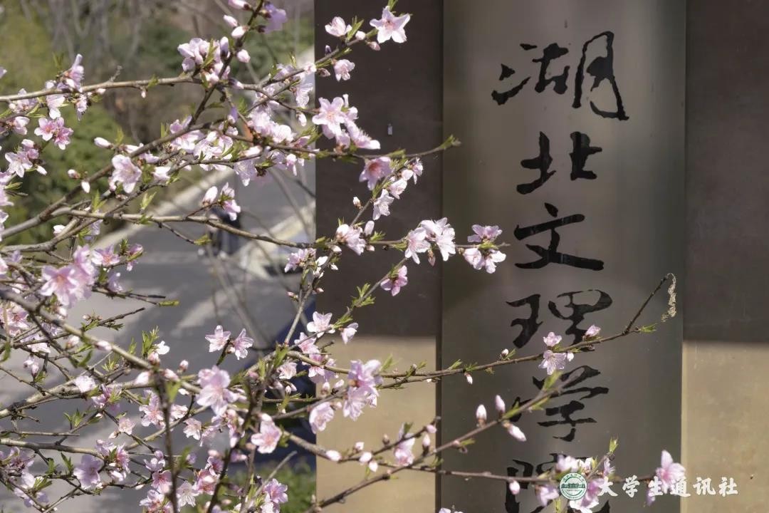 央视聚焦，中宣部“点赞”！湖北这所大学，坐落在5A级景区中