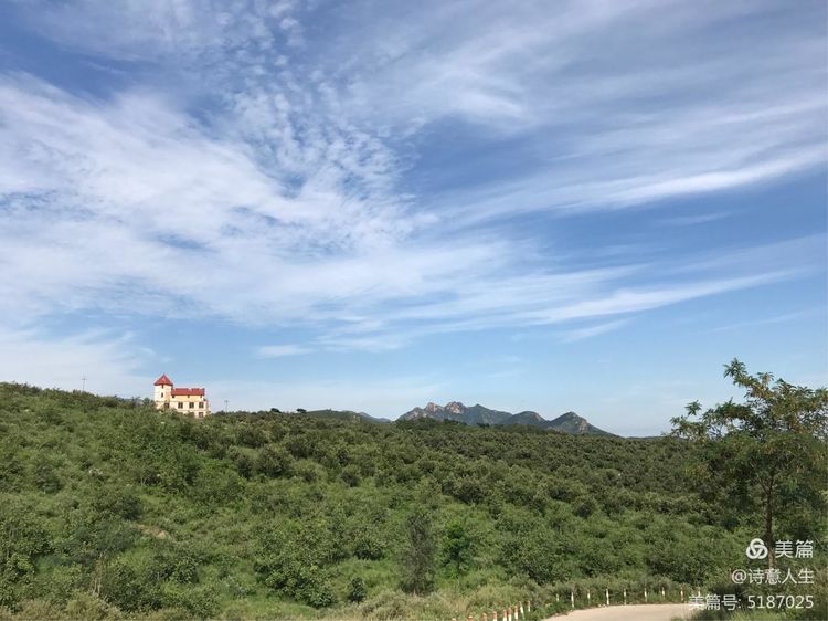 夏日登山汗如泉