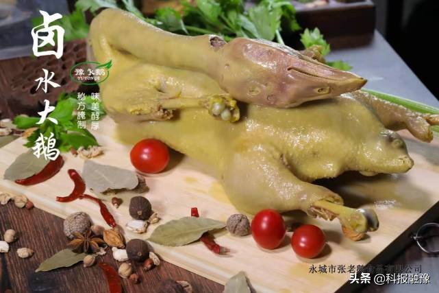 豫永鵝：做強(qiáng)鹵鵝產(chǎn)業(yè) 助力鄉(xiāng)村振興