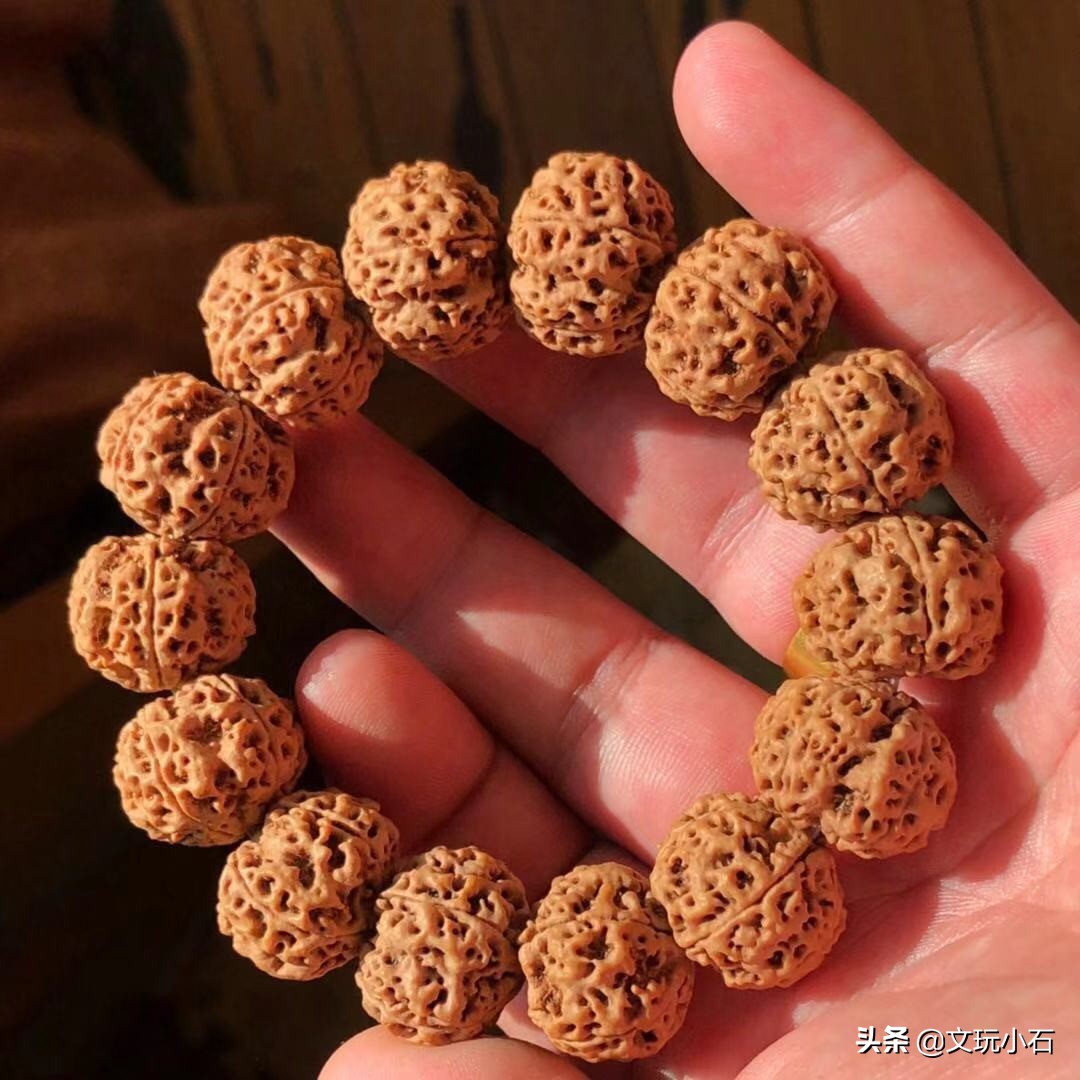 藏式金刚菩提子(挑选金刚菩提,你会选择原籽还是藏式?你选对了吗?