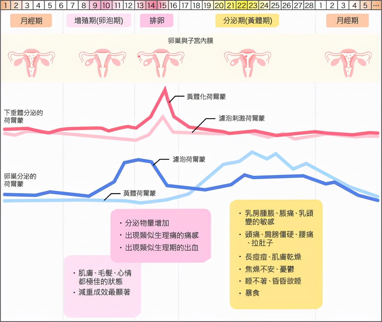 美女航天员王亚平：生理期怎么办？神十三16日发射，在轨6个月