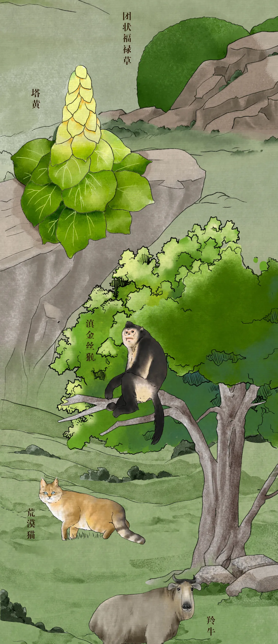 中国珍稀动植物图鉴