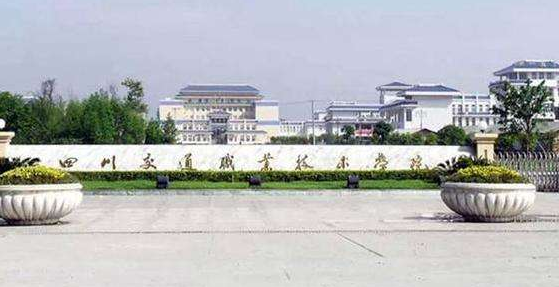 四川有什么比较好的职业学校?