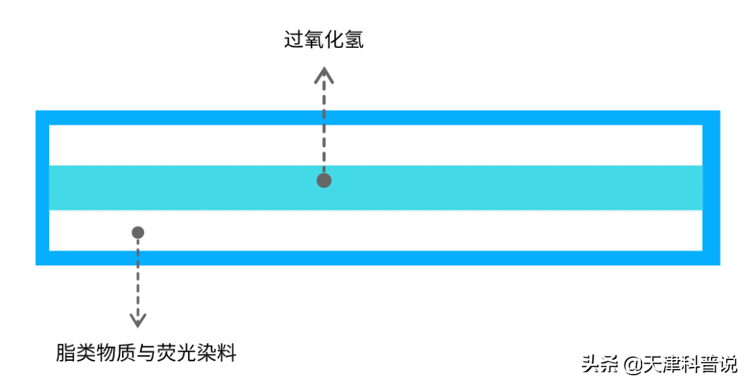 荧光棒为什么弯折后会发光？