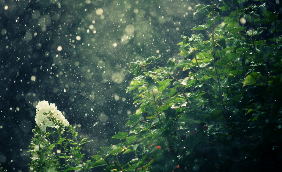 当暴雨遇见古诗词，十五首有关暴雨的诗词，欣赏暴雨的气势与景象​